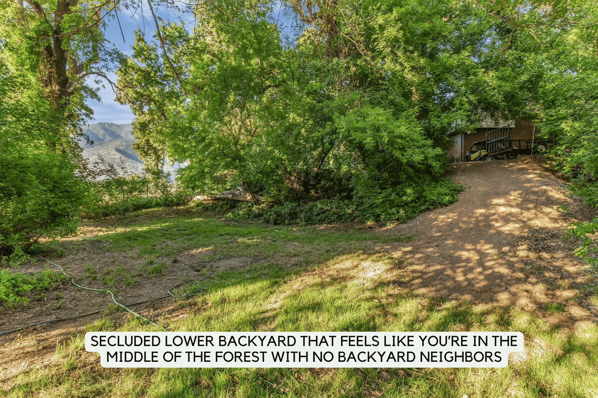 Expansive lower backyard featuring established trees, natural ground cover, and distant mountain scenery