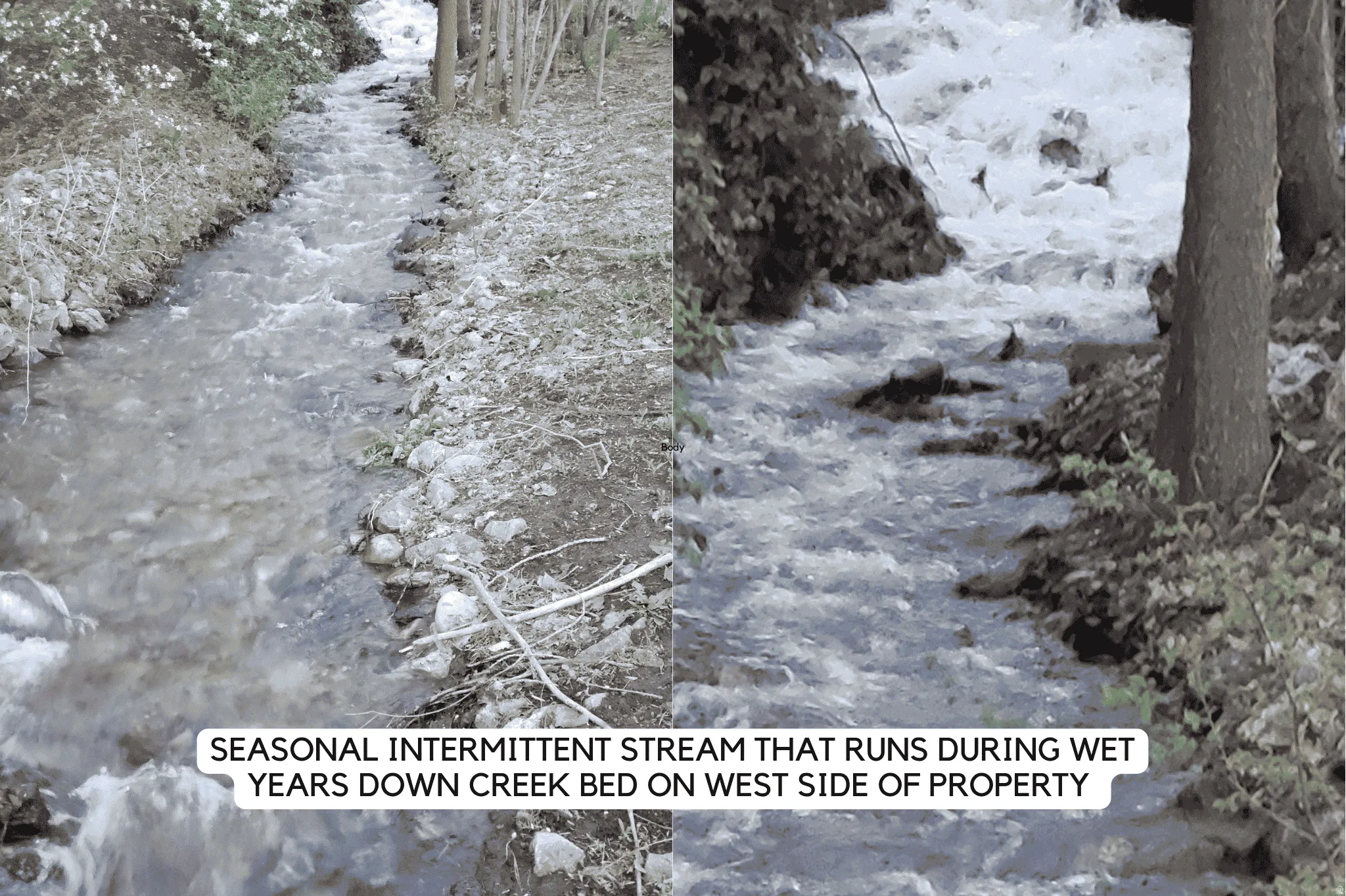 Natural stream with a rocky bed, flanked by mature trees and natural vegetation