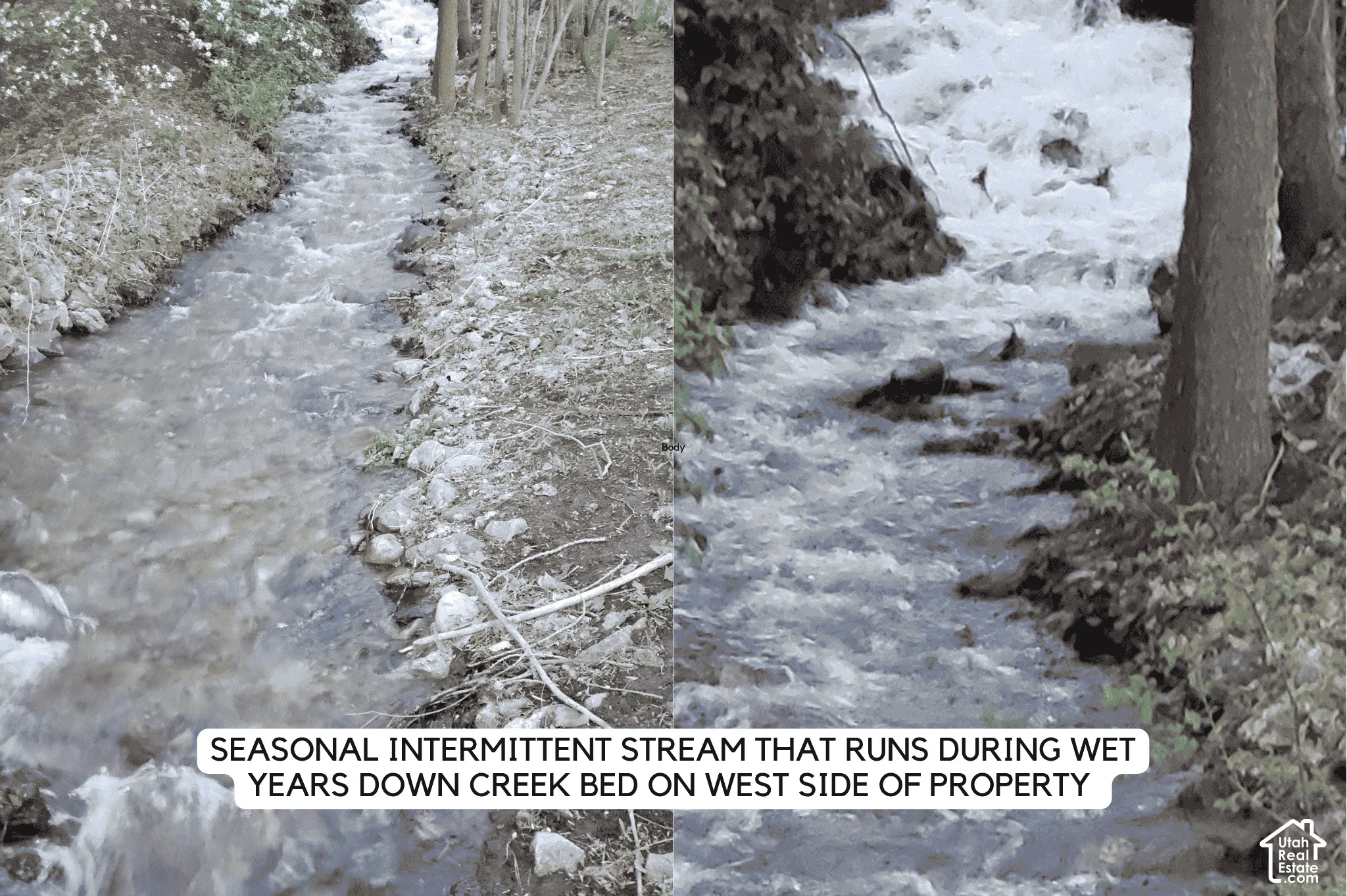 Natural stream with a rocky bed, flanked by mature trees and natural vegetation