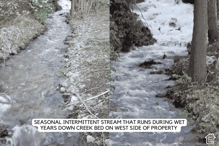 Natural stream with a rocky bed, flanked by mature trees and natural vegetation