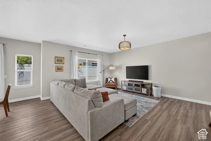 Spacious room featuring wood-finish flooring, light gray walls, and large white-trimmed windows