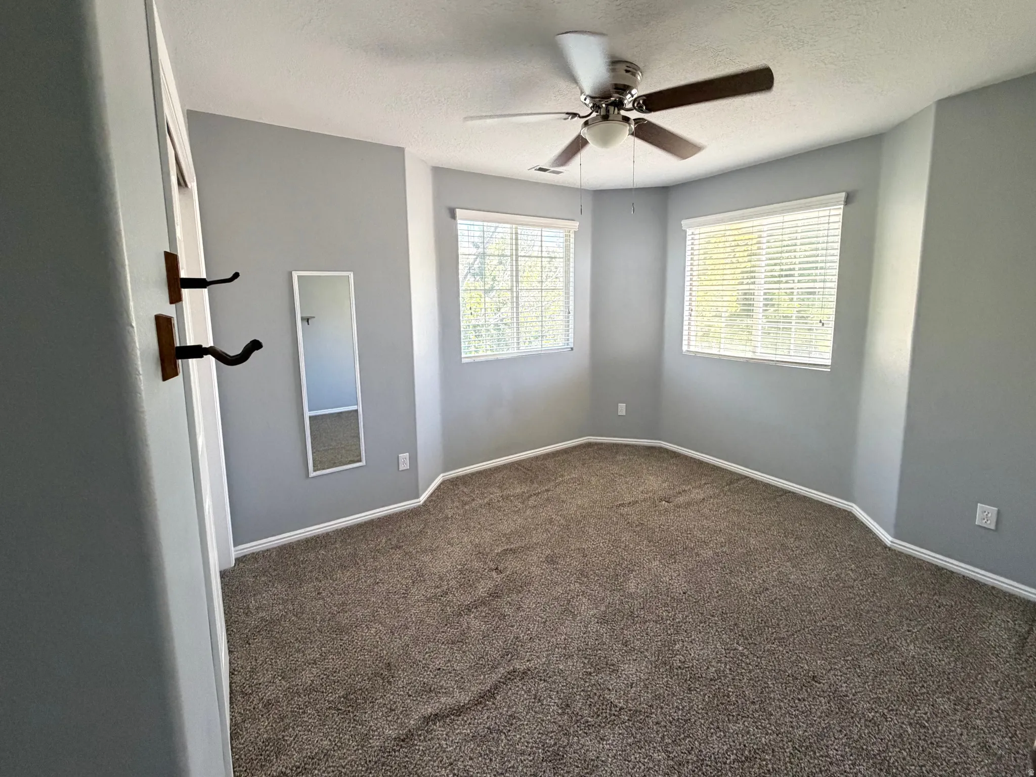 Neutral gray walls complement the textured brown carpeting