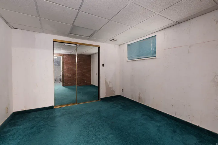 Room featuring teal carpeting, white painted walls, a drop ceiling, and a window with horizontal blinds