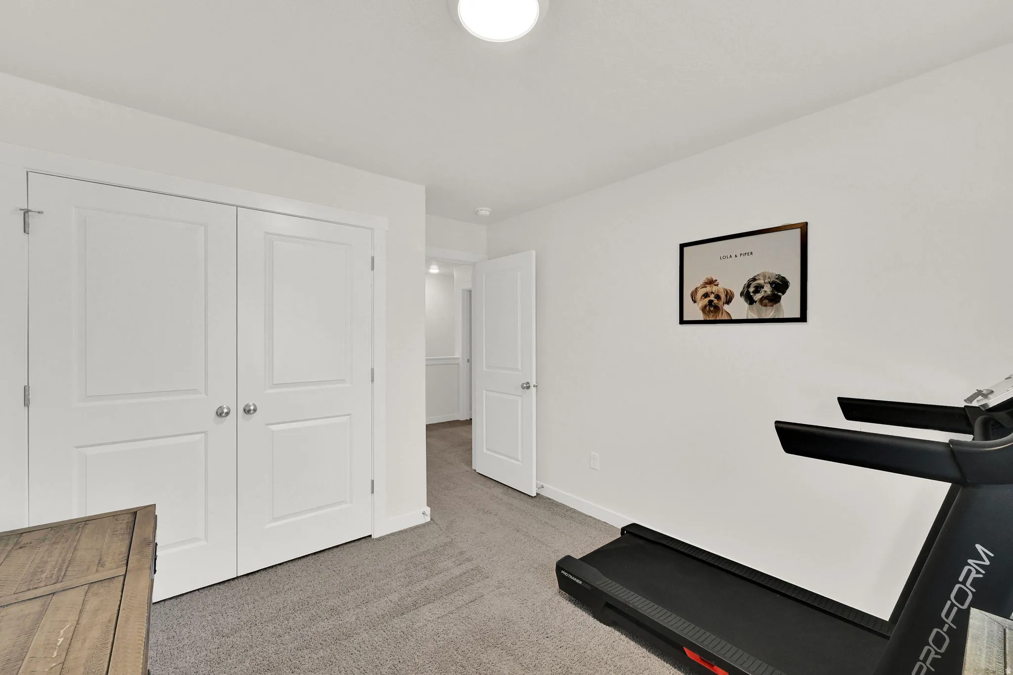 White interior walls with neutral carpeting, featuring a double-door closet with paneling and satin nickel hardware