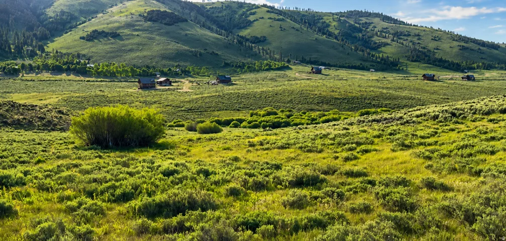 Expansive green landscape with rolling hills and distant cabins