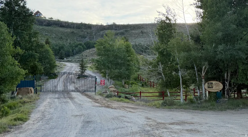 Gravel driveway with a metal entry gate, flanked by mature trees and natural landscaping