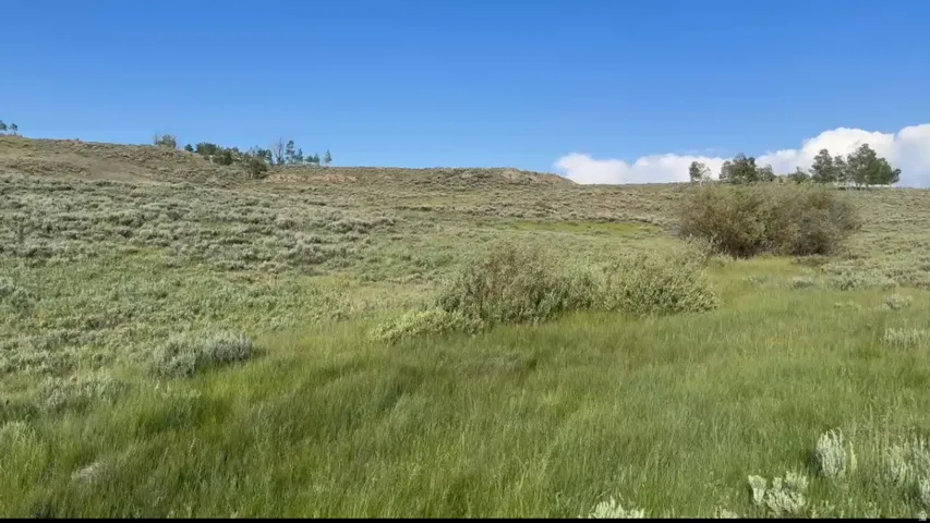 Expansive natural landscape featuring rolling hills and varied vegetation