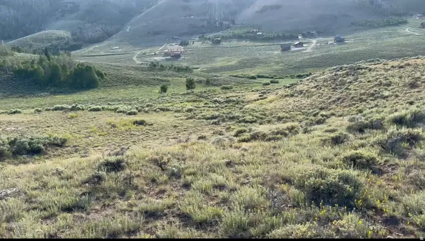 Vast, undeveloped hillside terrain with varied natural vegetation and distant structures