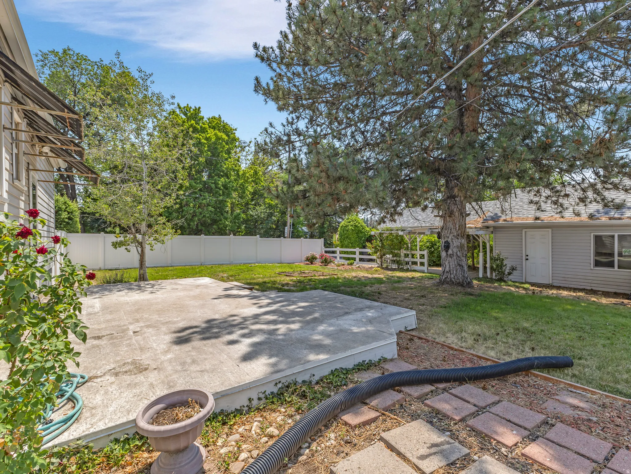Spacious backyard featuring a concrete patio, a section of lawn, and mature trees