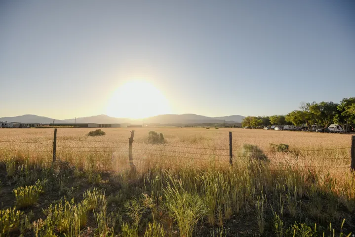 Expansive agricultural field with mature golden crops