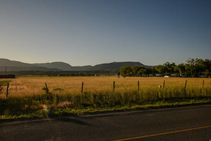 Expansive golden field bordered by a multi-strand wire fence and a paved road
