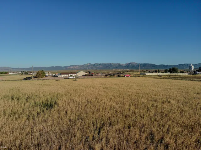 Expansive open field with natural vegetation