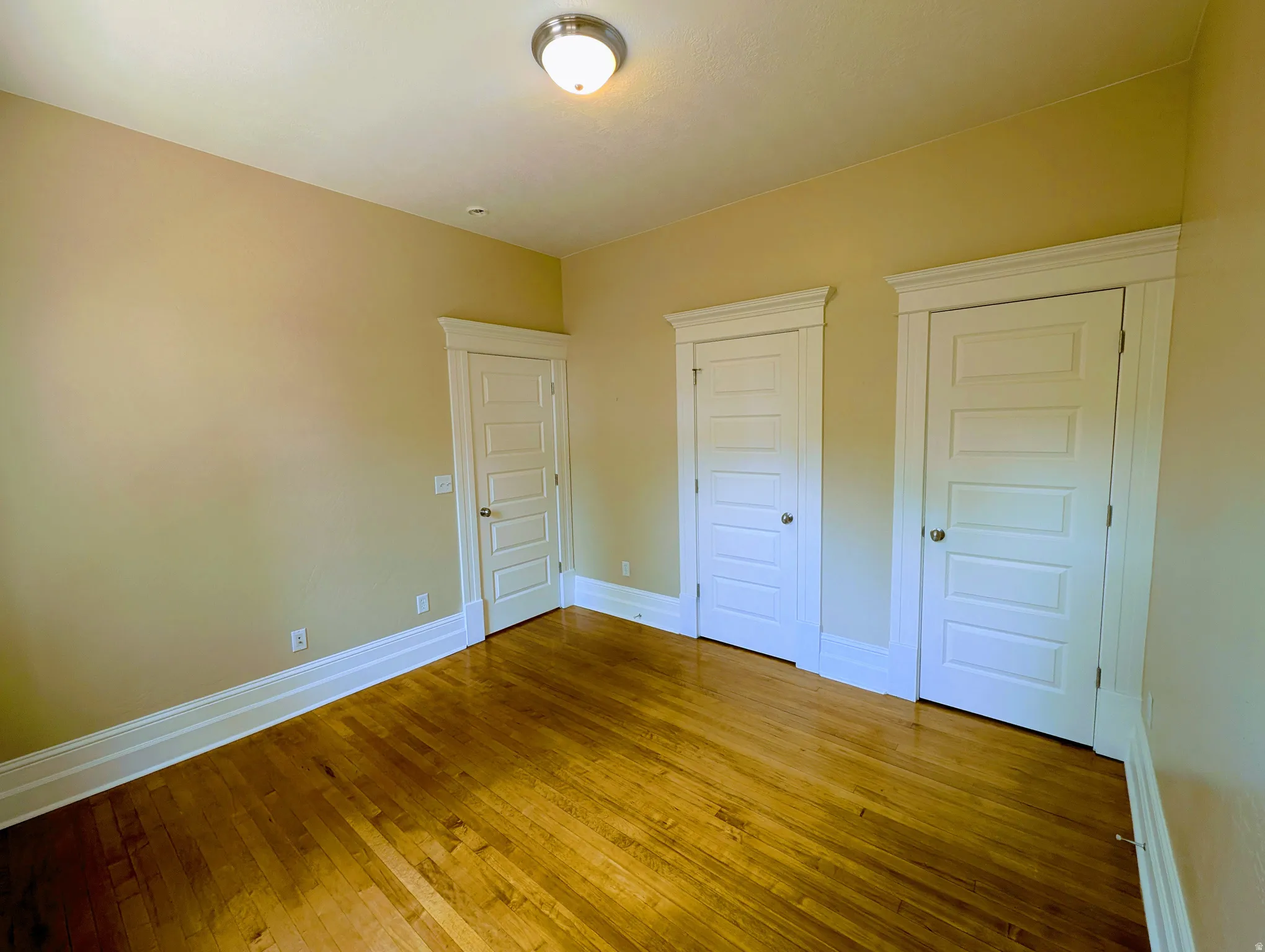 Hardwood flooring, painted walls, three paneled doors with trim, and a ceiling-mounted light fixture