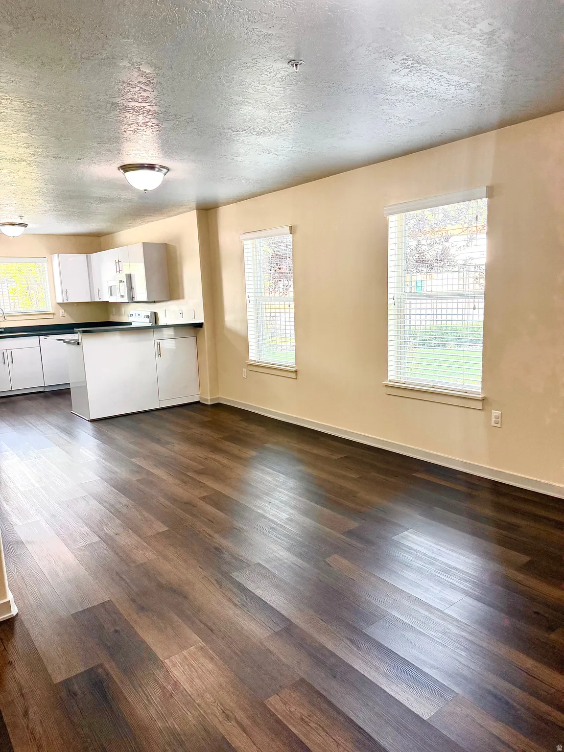 Open-concept living space featuring wood-finish flooring, recessed lighting, and a kitchen with white cabinetry and dark countertops