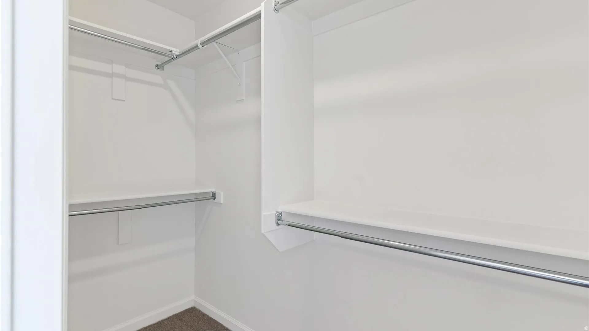 Walk-in closet featuring white shelving, multiple hanging rods, and carpet flooring