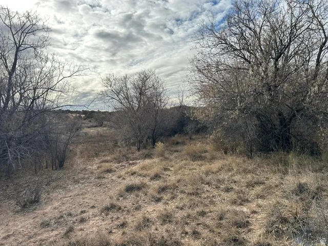 Expansive land parcel featuring natural, undeveloped terrain with diverse native vegetation and mature trees
