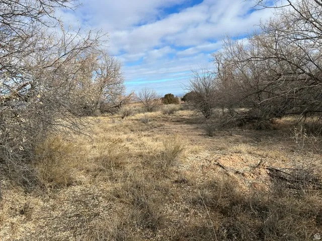 Expansive natural landscape featuring dry grasses, mature deciduous trees, and a clear sky with scattered clouds