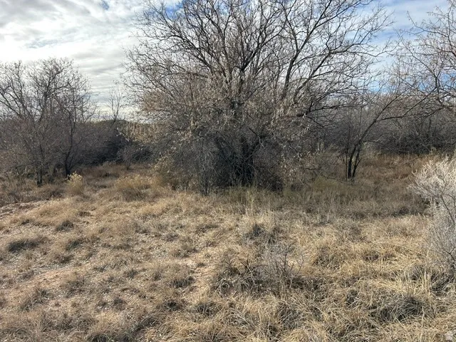 Expansive natural terrain featuring mature trees and varied vegetation under a partially clouded sky
