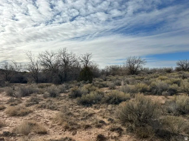 Expansive land featuring desert vegetation, scattered trees, and a clear sky with scattered clouds