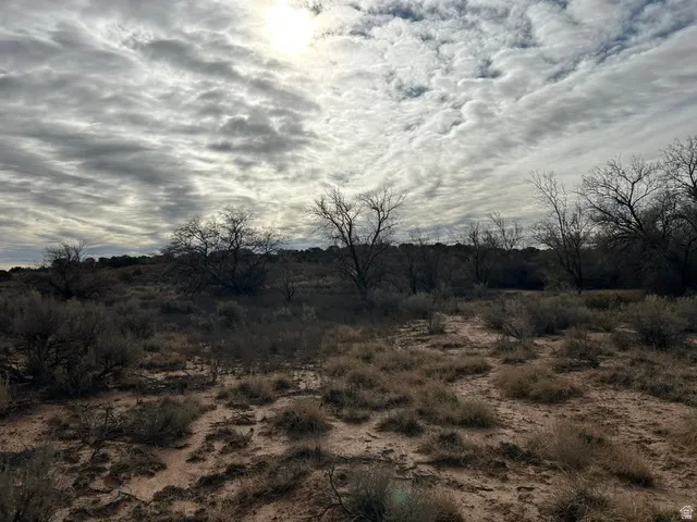 Expansive land parcel featuring natural, undeveloped terrain