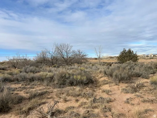 Expansive undeveloped land featuring natural desert flora, including mature shrubs and sparse trees