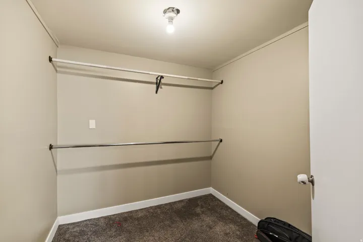 Walk-in closet featuring carpet flooring and neutral wall tones