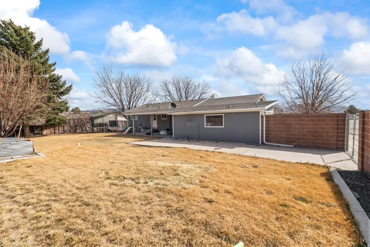 Expansive backyard featuring a concrete patio, mature evergreen trees, and a brick privacy wall with a gate