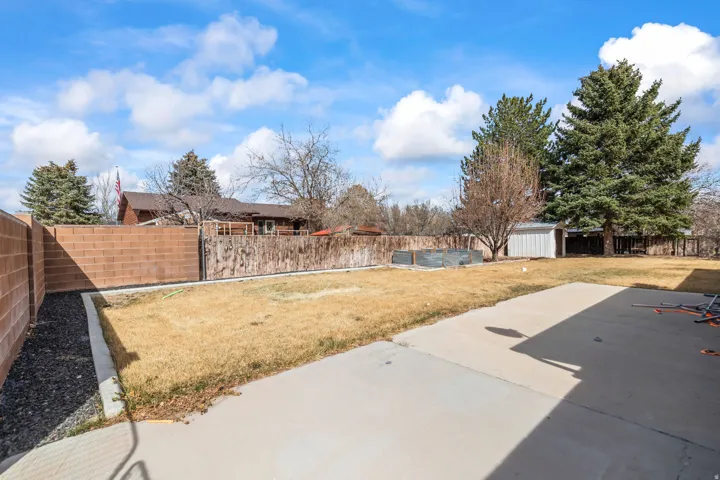 Expansive backyard featuring a concrete patio, a manicured lawn, and mature evergreen trees