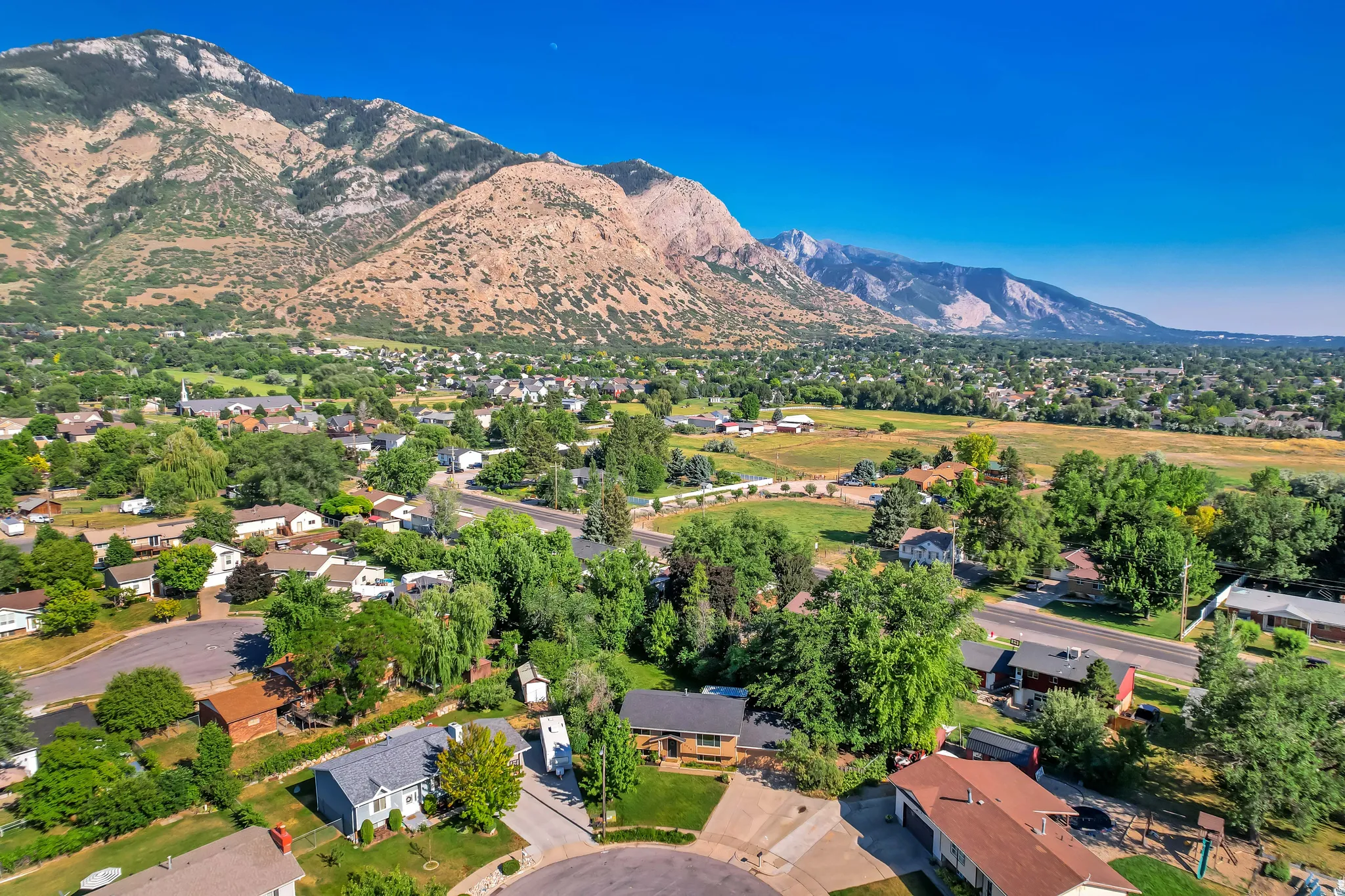 Expansive mountain range backdrop and verdant tree cover