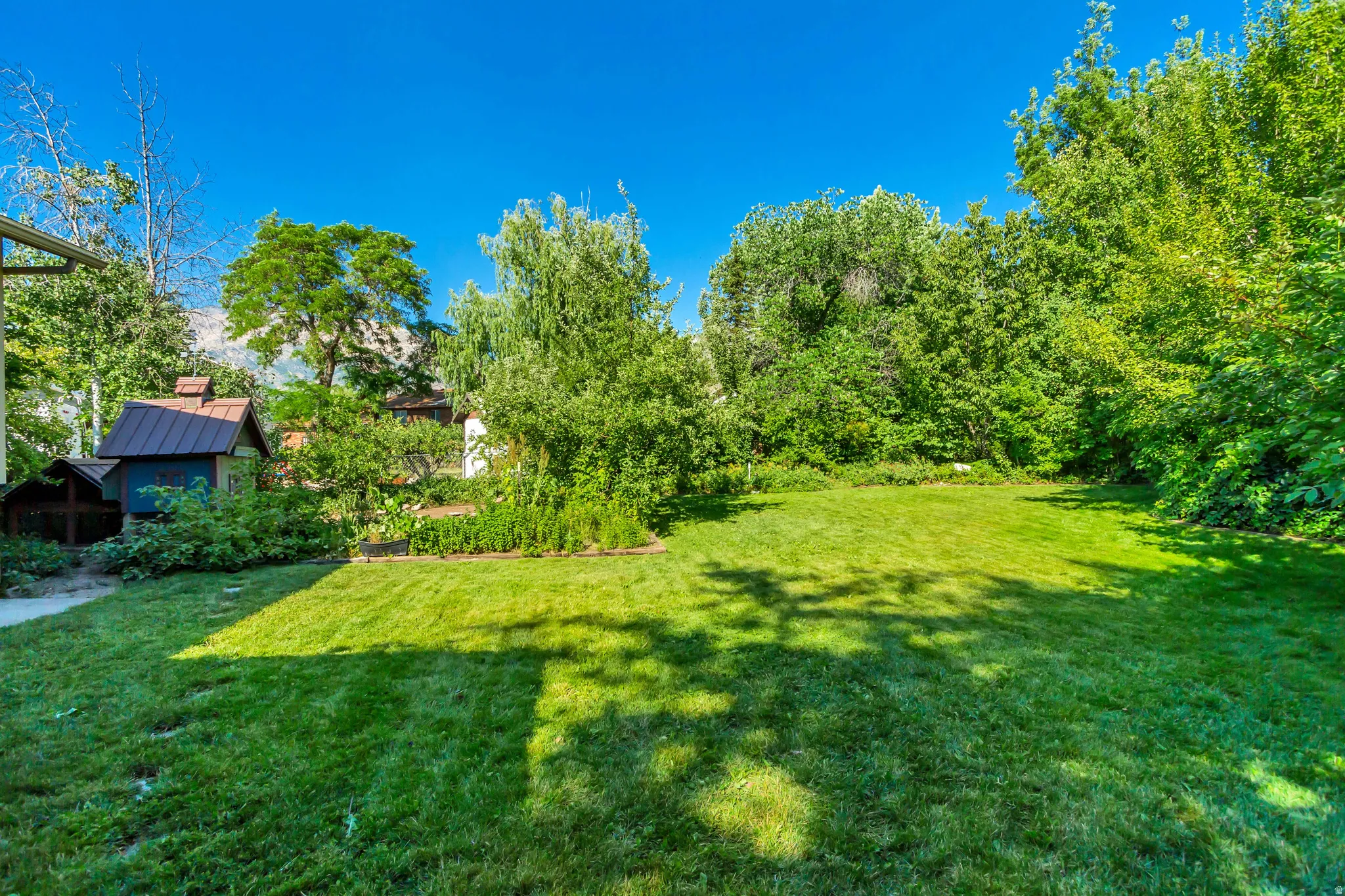Expansive green lawn with surrounding mature trees and foliage