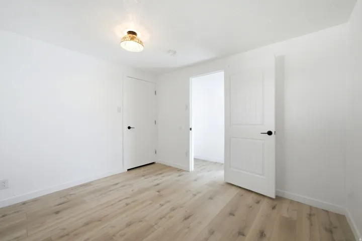 Wood-finish flooring, white walls, two white doors, ceiling-mounted light fixture, and black door hardware