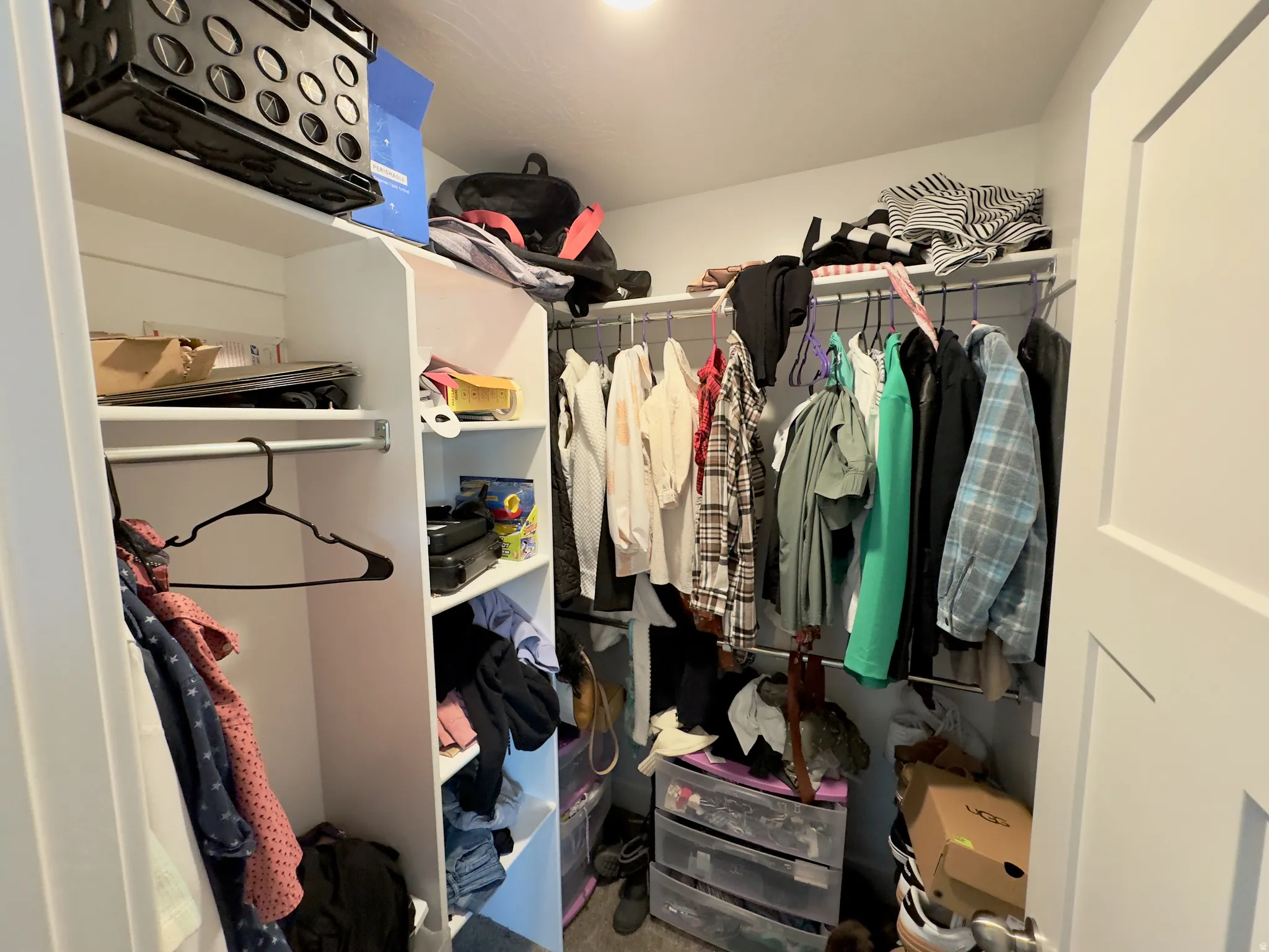 Built-in closet system featuring white shelving, multiple hanging rods, and an overhead light fixture