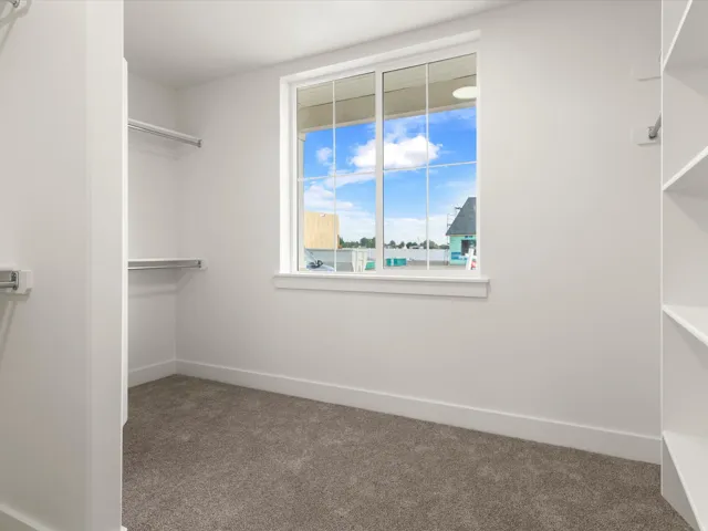 Carpeted walk-in closet featuring a large window, integrated shelving, and hanging rods