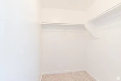 Interior closet featuring light-toned carpeting, white walls, and a built-in shelving system with hanging rods