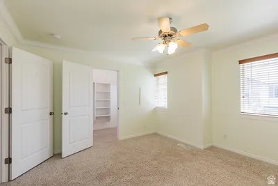Carpeted room featuring crown molding, two windows with blinds, a ceiling fan with light fixture, and an open doorway revealing a closet with built-in shelving