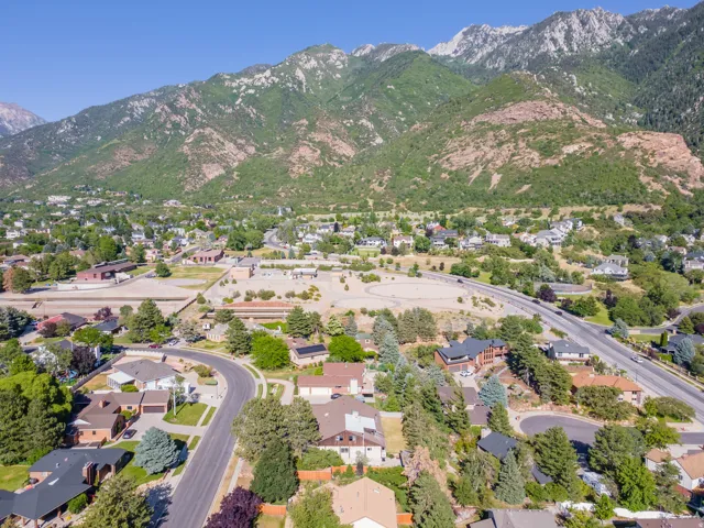 Aerial perspective showcasing a residential area with mature trees and a curving street