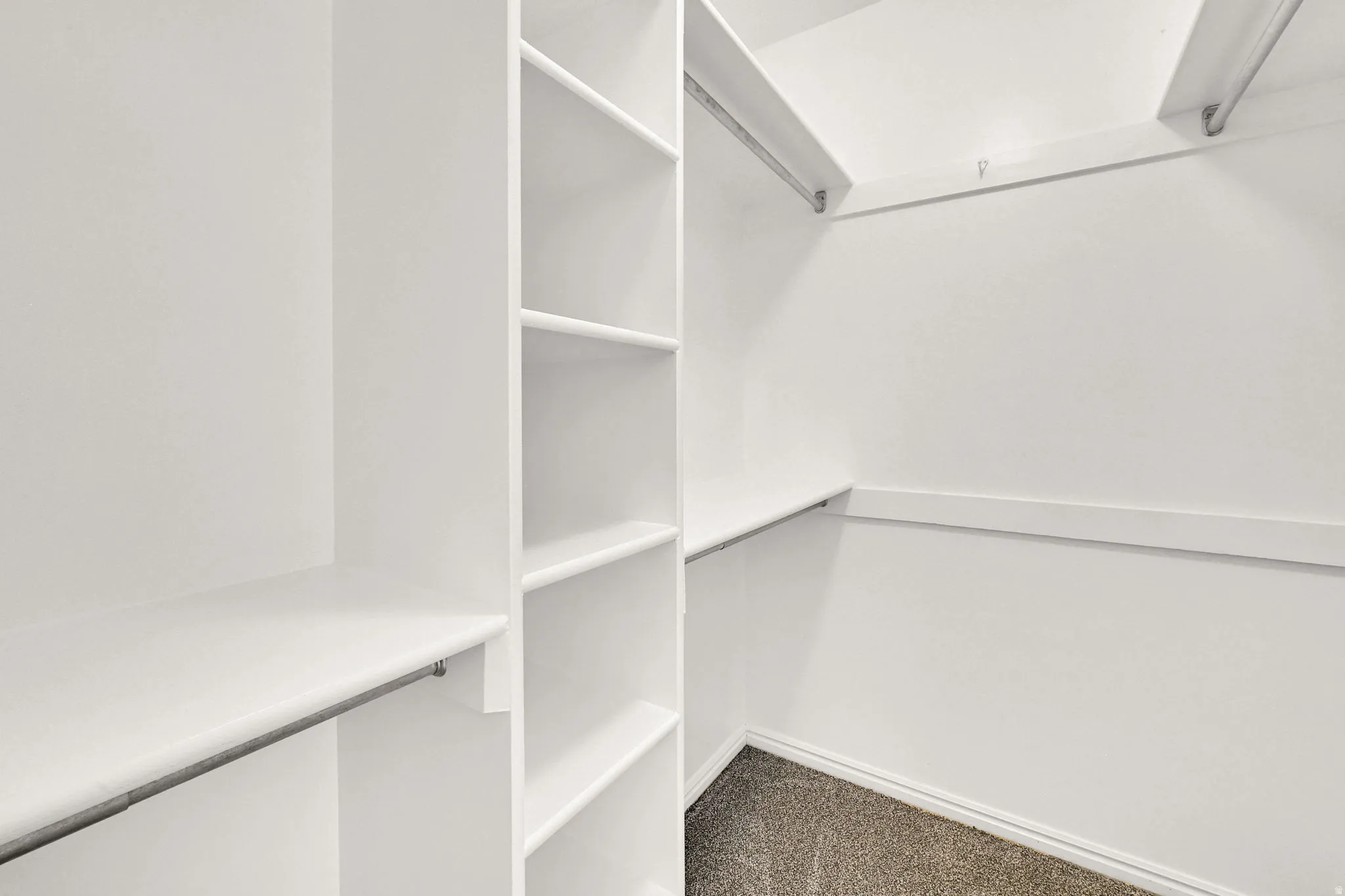 Walk-in closet featuring built-in shelving, multiple hanging rods, and neutral-toned carpeting
