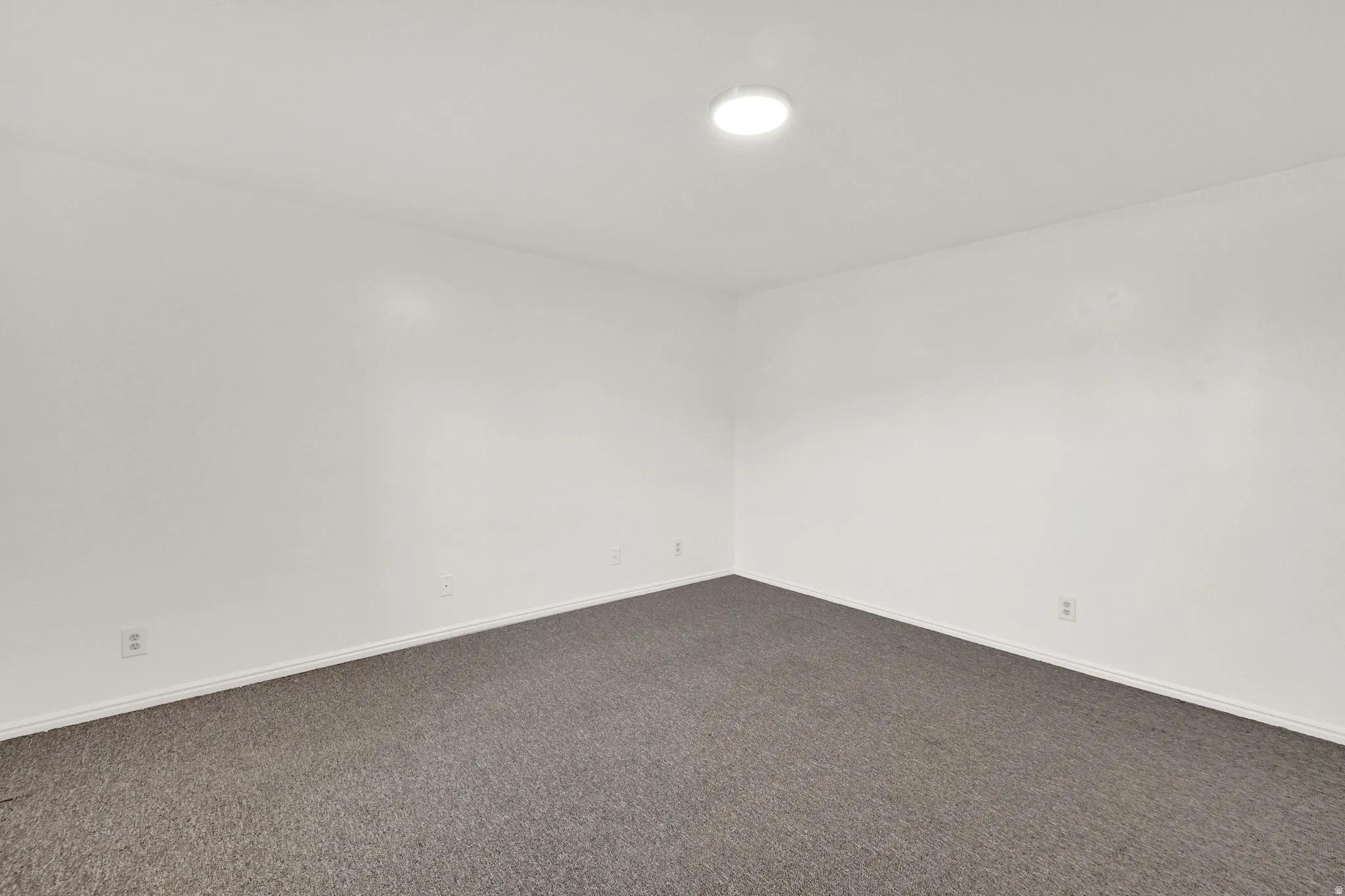 Room featuring neutral carpeting and white wall finishes