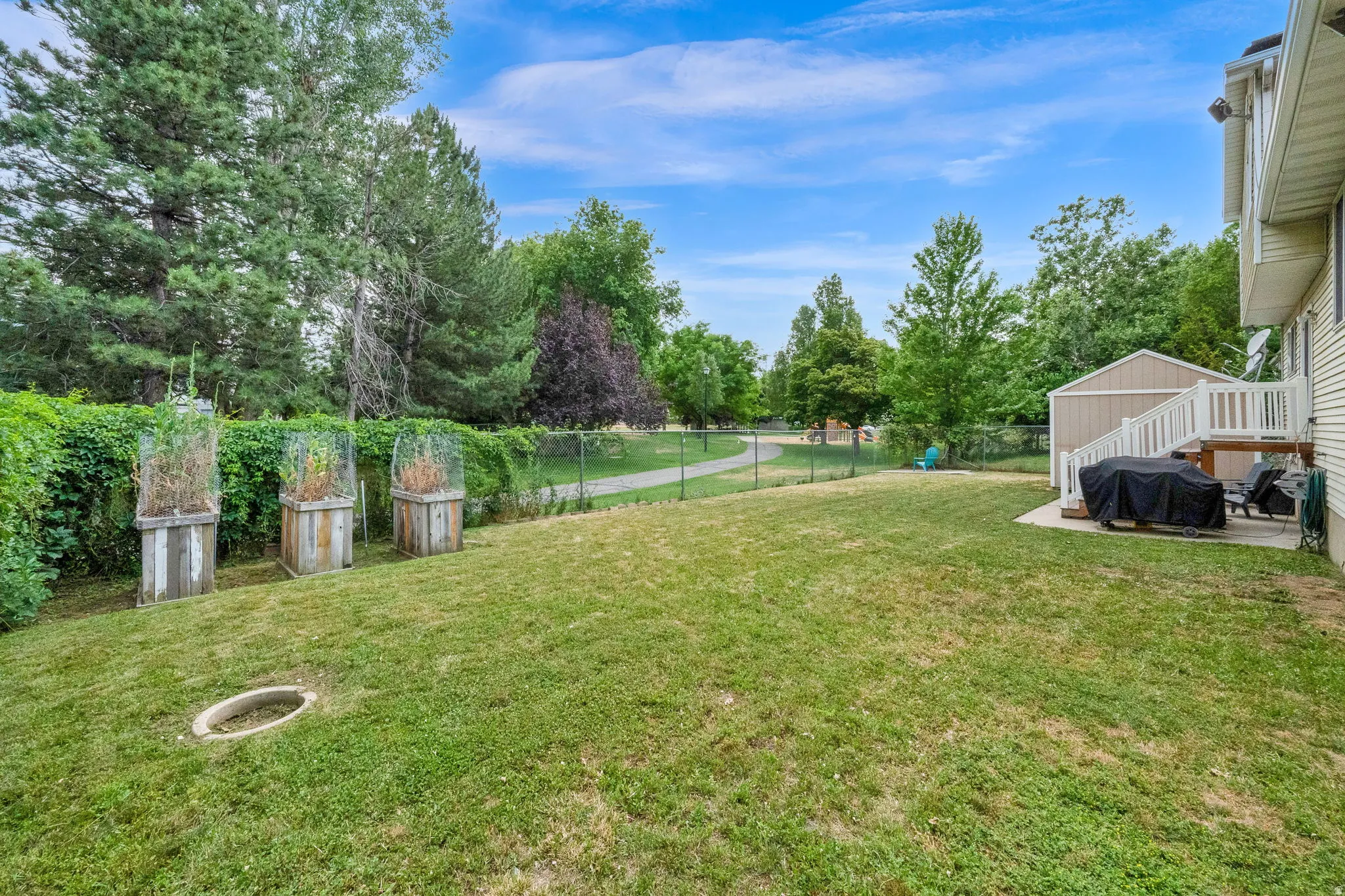 Expansive backyard featuring a lush lawn, established perimeter trees, and three raised garden beds