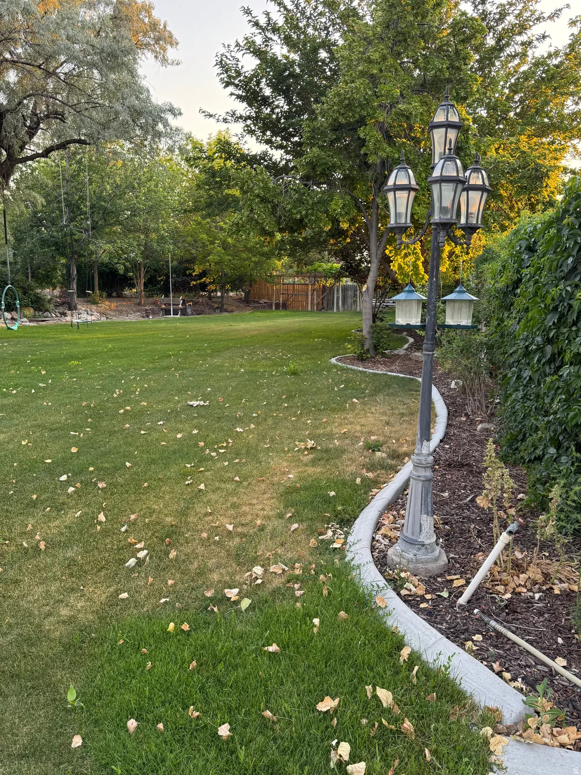 Expansive lawn area featuring mature trees, a decorative lamppost, and curved concrete garden edging