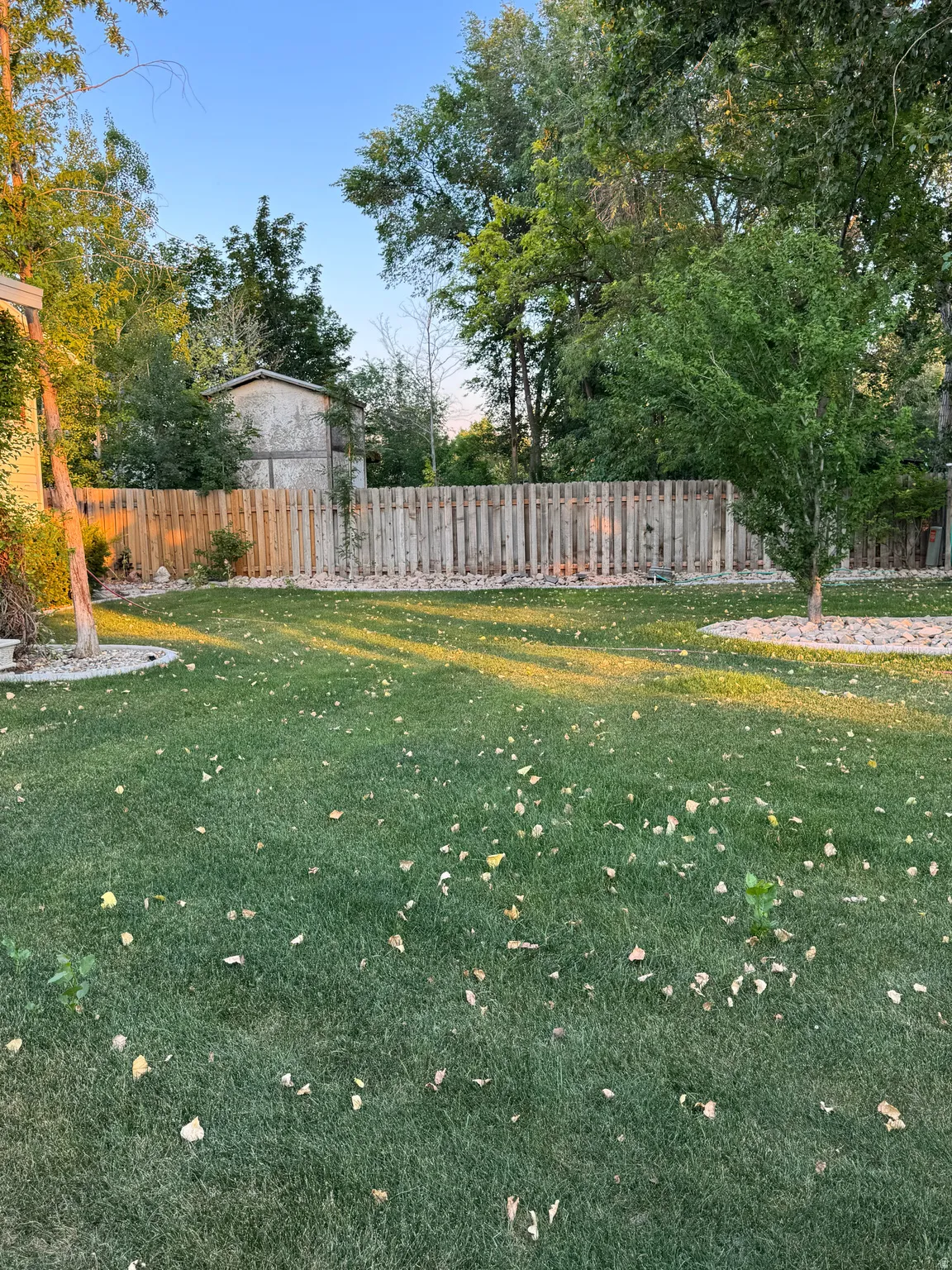 Expansive grass lawn featuring a wood picket fence, mature trees, and decorative rock landscaping