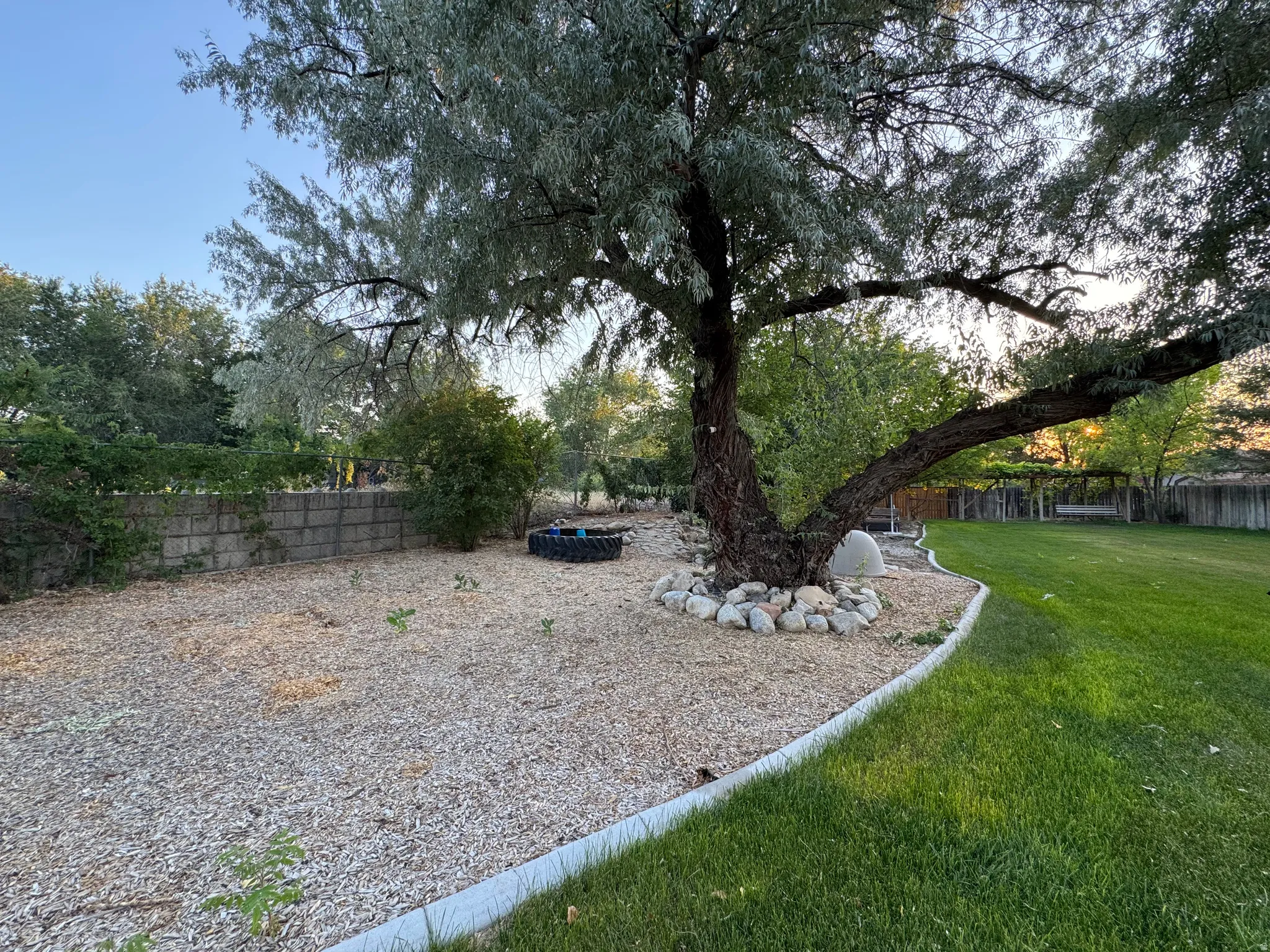 Expansive backyard featuring a mature tree with a stone-lined base, a dedicated wood chip area, a section of manicured lawn, a concrete block privacy wall, and a distant pergola structure
