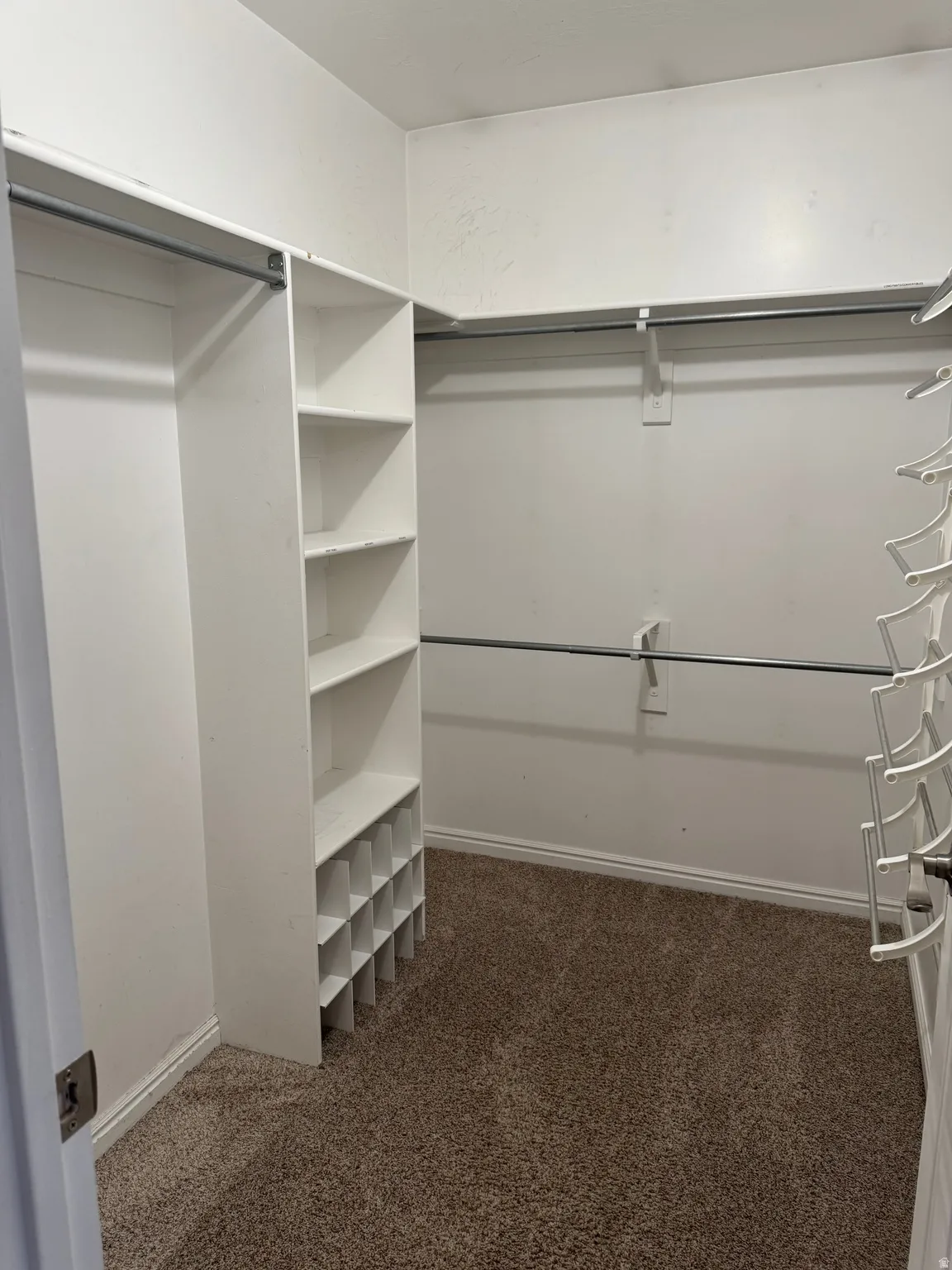 Walk-in closet featuring built-in shelving, hanging rods, and brown carpet flooring