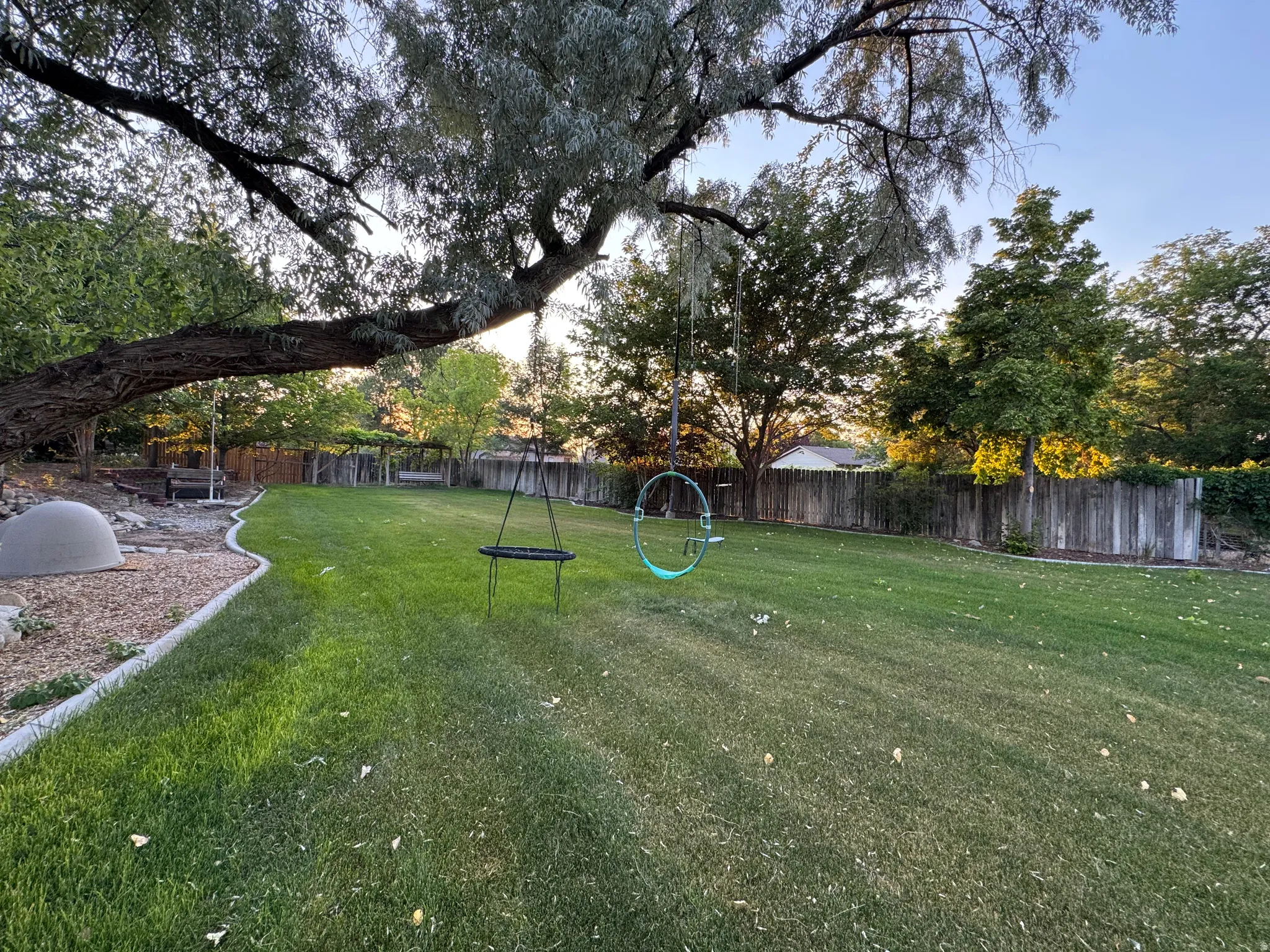Expansive lawn bordered by mature trees and a wooden privacy fence