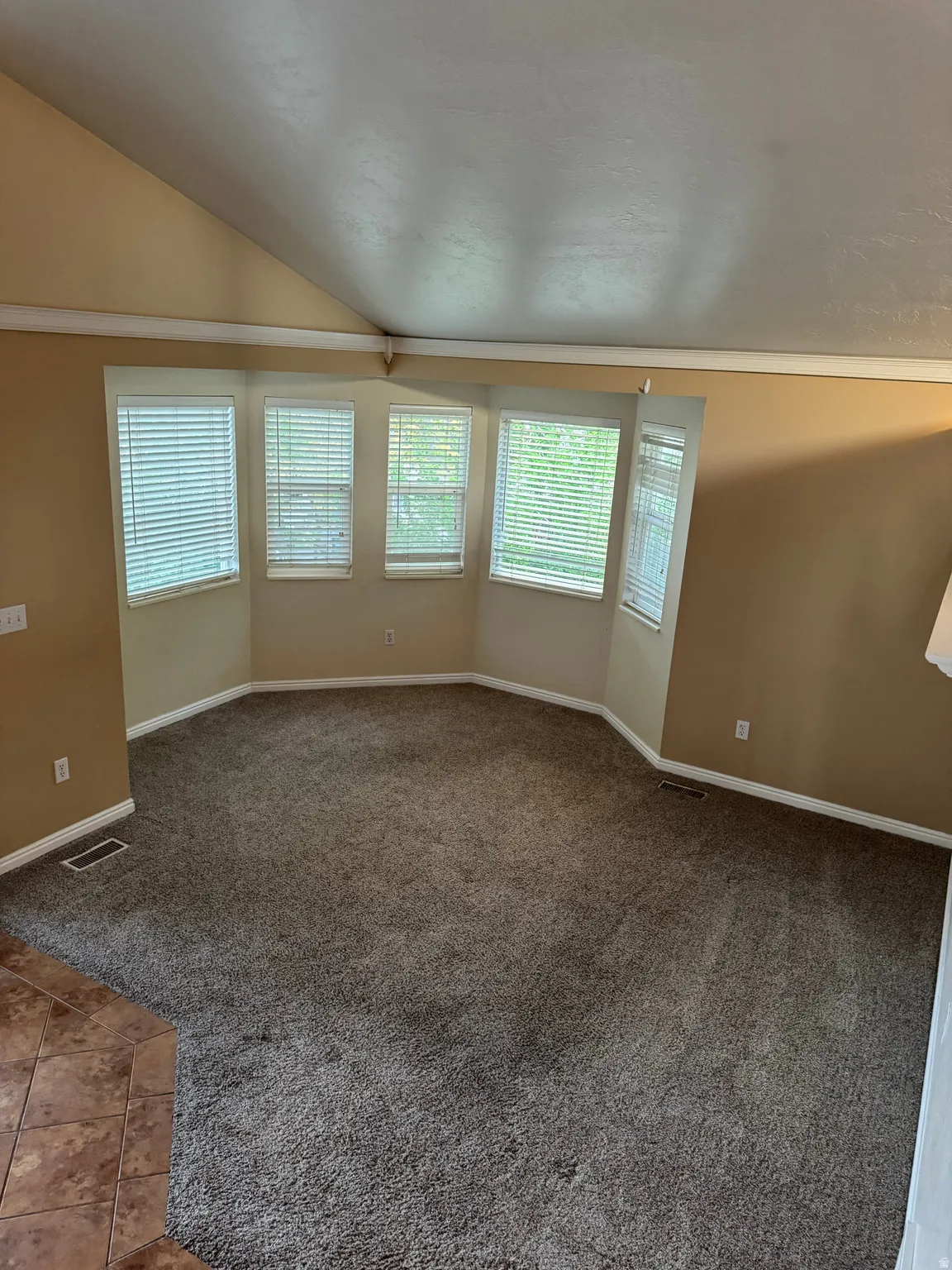 Spacious room featuring vaulted ceilings, a bay window with multiple panes, neutral-toned walls, and plush carpeting