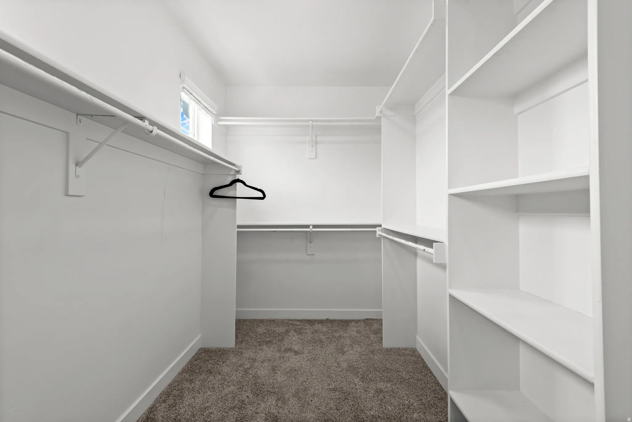 Spacious closet featuring white shelving, multiple hanging rods, and neutral-toned carpeting