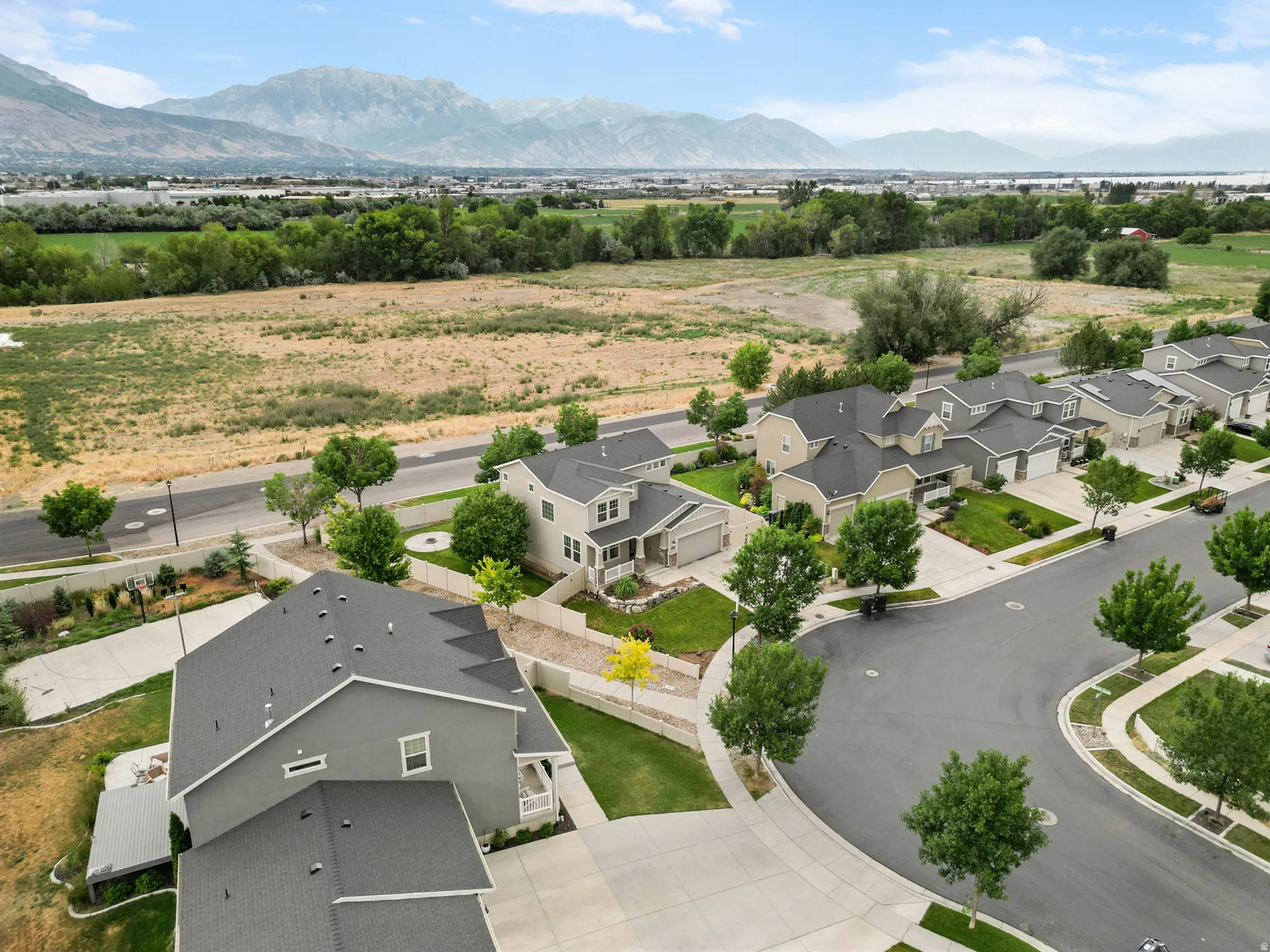 Aerial perspective of a contemporary residential development featuring manicured lawns, mature street trees, and asphalt roadways