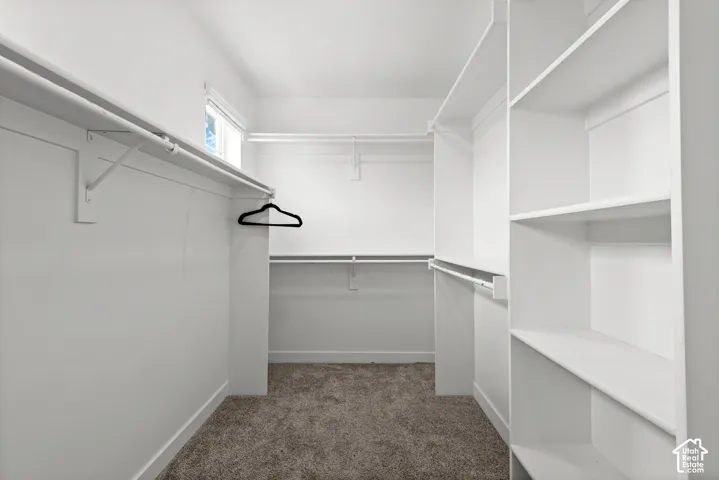 Spacious closet featuring white shelving, multiple hanging rods, and neutral-toned carpeting