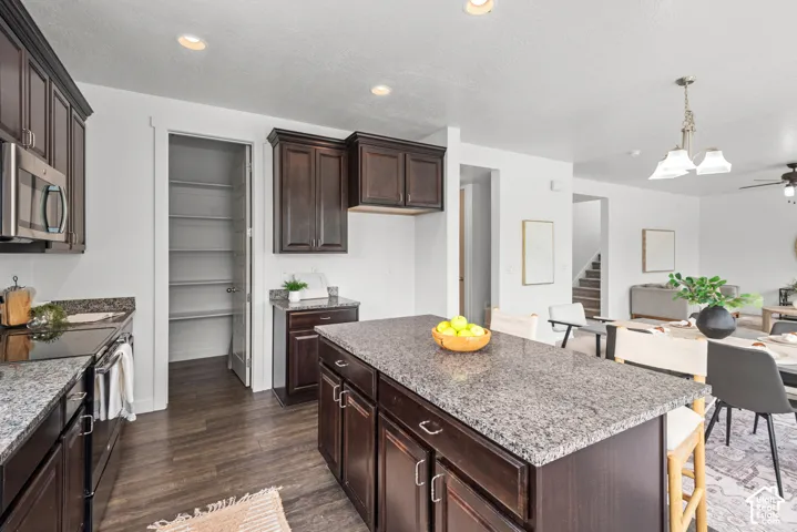 Modern kitchen featuring dark wood cabinetry, stainless steel appliances, granite countertops, a large center island with additional storage, and a walk-in pantry