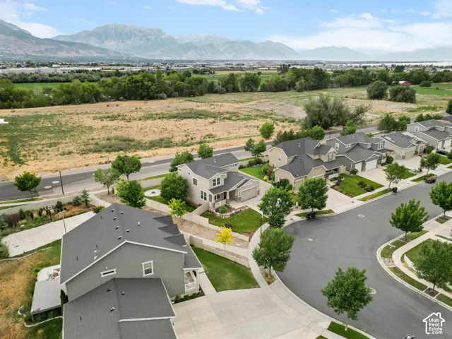 Aerial perspective of a contemporary residential development featuring manicured lawns, mature street trees, and asphalt roadways
